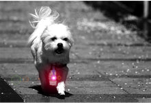 Silicone Waterproof LED Light Strap